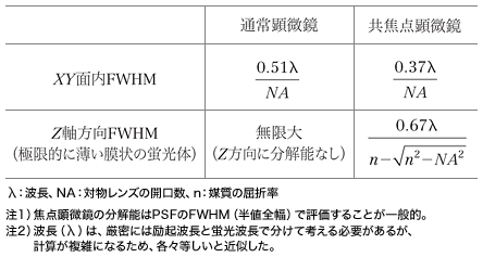 表1 通常顕微鏡と蛍光共焦点顕微鏡の分解能比較 表1 通常顕微鏡と蛍光共焦点顕微鏡の分解能比較