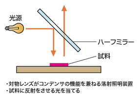 図2 落射型顕微鏡