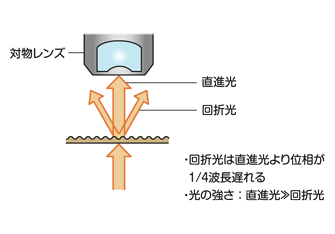 図8 透過照明と位相標本