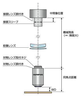 図3 無限遠補正光学系