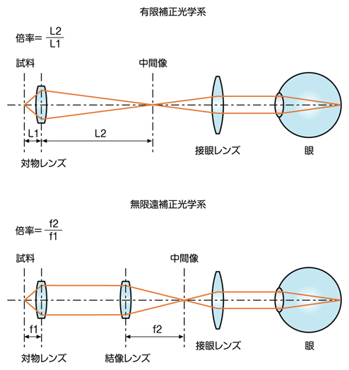 図9 結像方式別の倍率の考え方