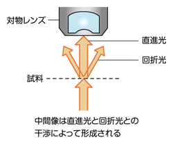 図2 干渉による像の形成