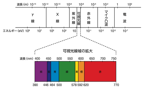 図8 可視光線領域