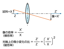 図10 横倍率、縦倍率の求め方