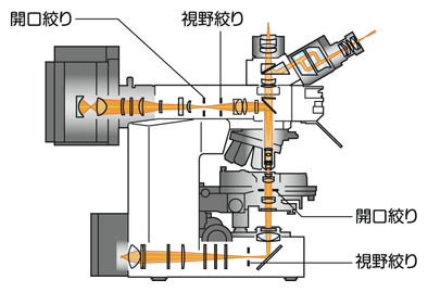 図1 視野絞りと開口絞り