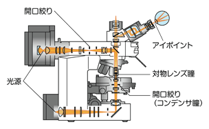 図6 瞳の共役関係