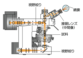 図7 試料と像の共役関係