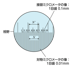 図5 対物ミクロメータの観察像 （接眼レンズにミクロメータを装着）
