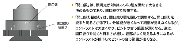 図1 コンデンサの表示