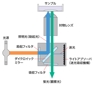 図1 光学配置図