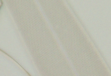 開口絞りの違いによる観察画像比較（珪藻）