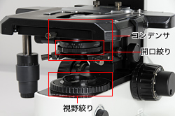 開口絞り、視野絞り、コンデンサ