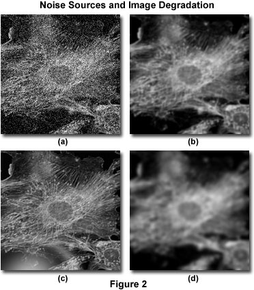 Noise Sources and Image Degradation