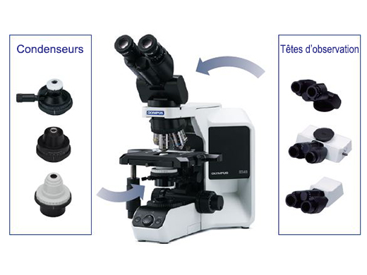 Personnalisable pour divers types d’observation