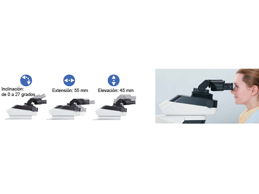 Tubo binocular altamente ajustable