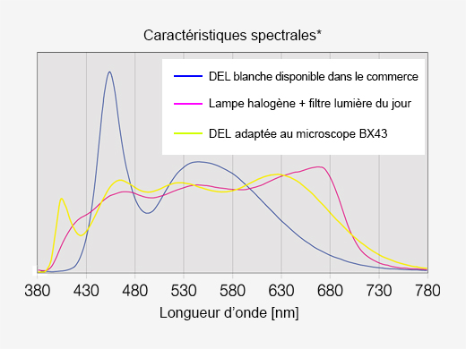 Un éclairage optimal pour les applications de pathologie et de cytologie