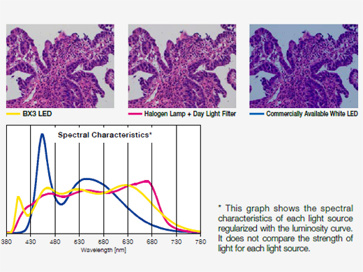 Bright LED Lighting Optimized for Pathology and Cytology