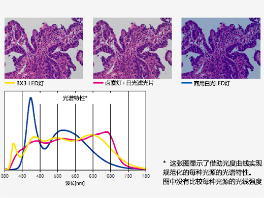 针对病理学和细胞学优化的明亮LED照明