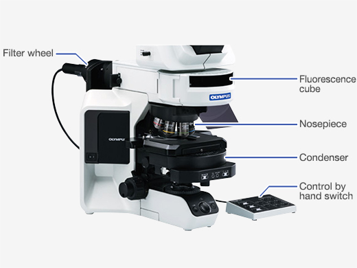 Upgrade with Motorized Components