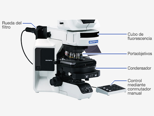 Actualización con componentes motorizados