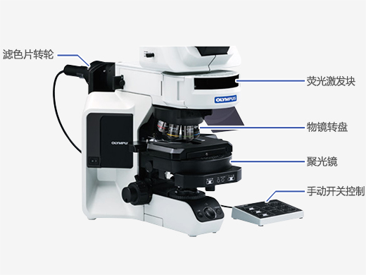 使用电动组件进行升级