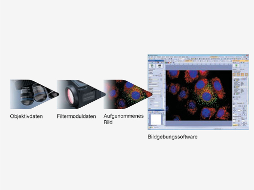 Speichern von Mikroskopiedaten über codierte Einheiten