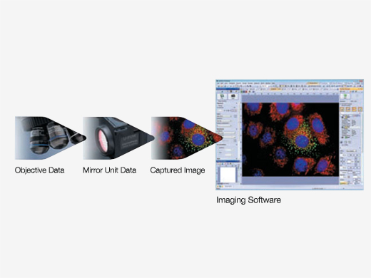 Save Microscopy Data via Coded Units