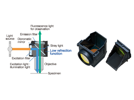 Fluorescence Mirror Units with Advanced Coatings and Stray Light Reduction