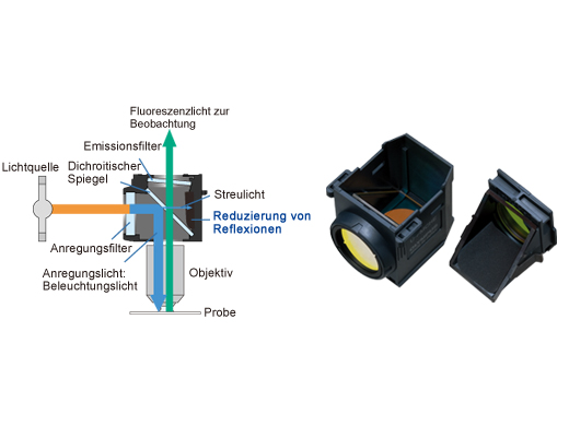 Fluoreszenz-Filtermodule mit hochentwickelter Beschichtung und Streulichtreduktion