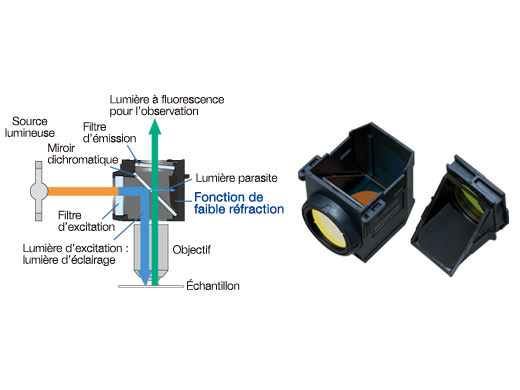 Miroirs de fluorescence avec revêtements perfectionnés offrant une réduction de la lumière parasite