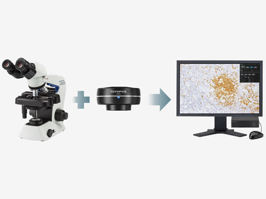 デジタルカメラ装着により実習を効率化