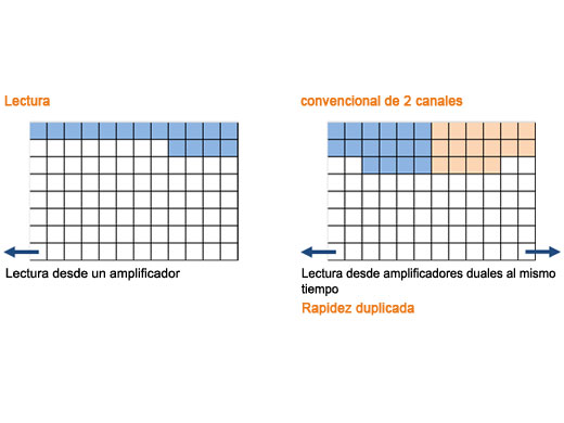 Rapidez dos veces más elevada que los modelos convencionales