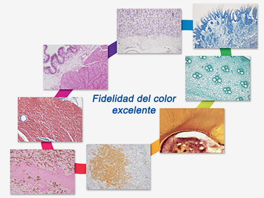 Alta fidelidad cromática para la mayoría de los colorantes utilizados en ciencias de la vida