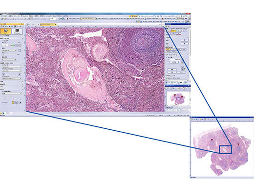 位置ナビゲーター機能