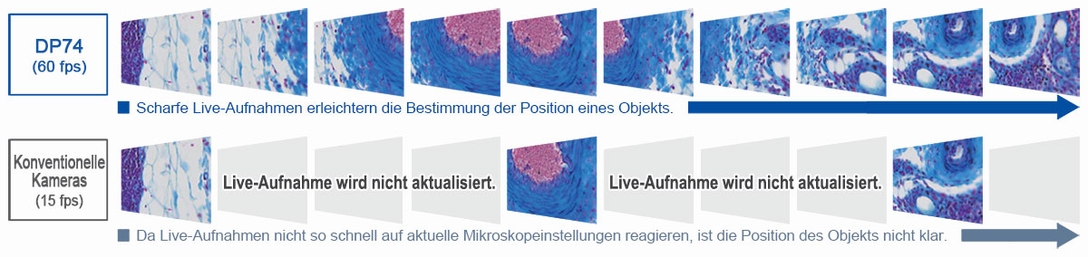 Hohe Bildfrequenz