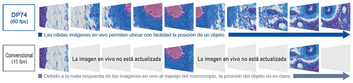 Rápida velocidad de refresco