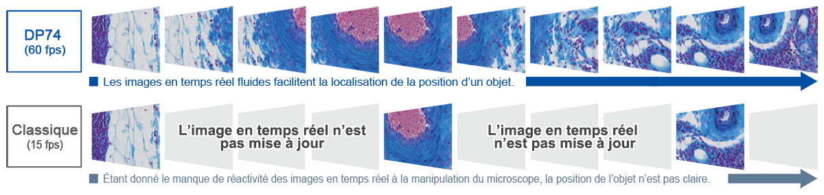 Fréquence d’images élevée
