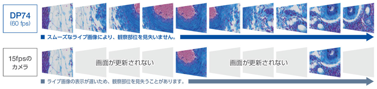 60fpsの高フレームレート