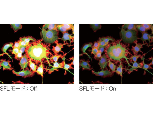 蛍光観察時に最適な露出時間を自動設定するSFL（Super  Fluorescence）機能