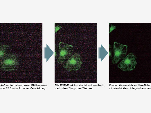 Fokus auf schwachen Fluoreszenzsignalen mit intelligenter Rauschunterdrückung