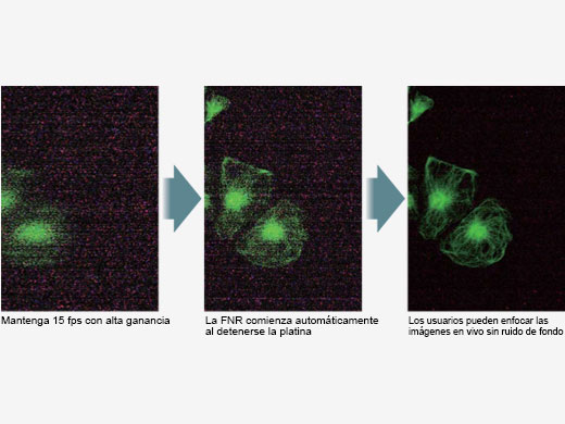 Enfoque en señales fluorescentes tenues con una función de reducción de ruido diseñada inteligentemente