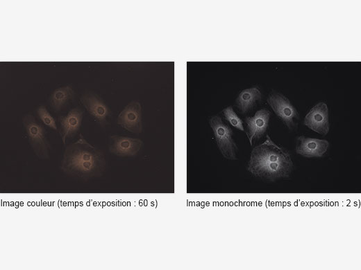 Solution fiable pour la biologie générale