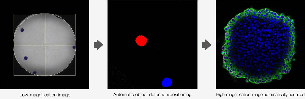 Automated Macro-to-Micro Imaging