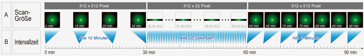 Reduzieren Sie Komplexität mit dem Sequence Manager