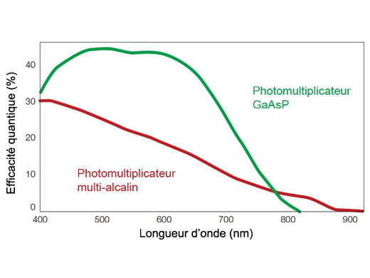 Efficacité quantique renforcée
