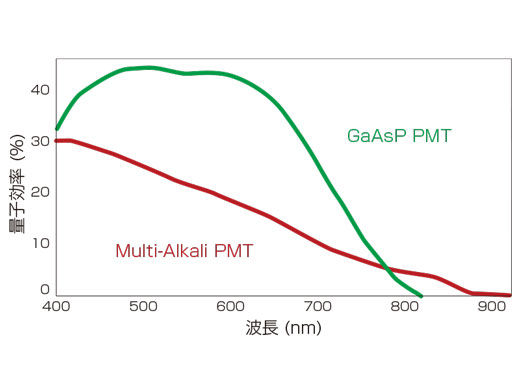 GaAsPフォトマルチプライヤー（GaAsP PMT）により量子効率が向上した高感度分光検出器（HSD）