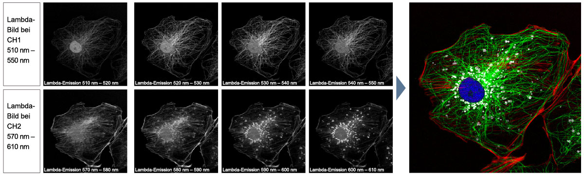 Spektrale Entmischung
