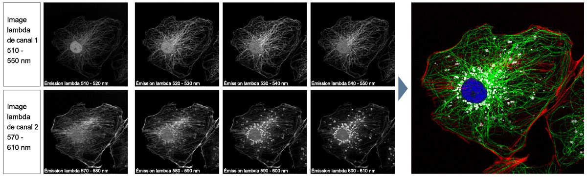 Déconvolution spectrale