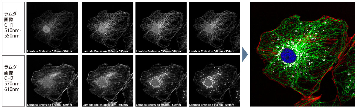アンミキシング