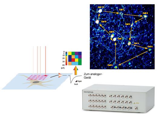 Optimierte Konfigurationen für elektrophysiologische Experimente